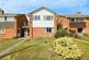 145 Finch front a.jpg