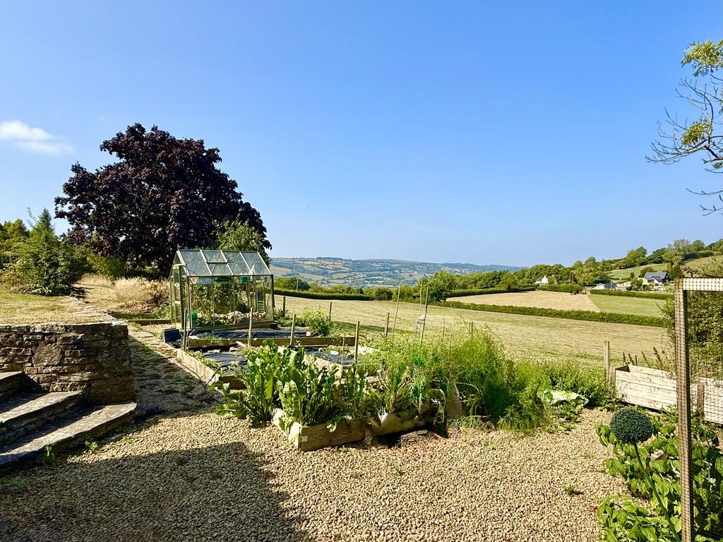 Vegetable Garden