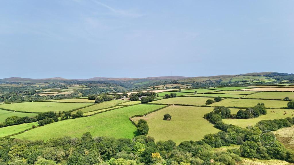 Dartmoor Paddock - Louis Lopez