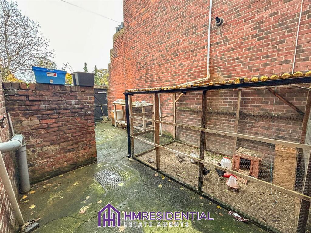 IMG 4537 10 original.jpg