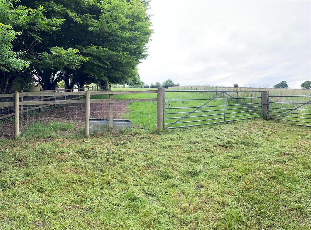 Paddock at Aller.jpg