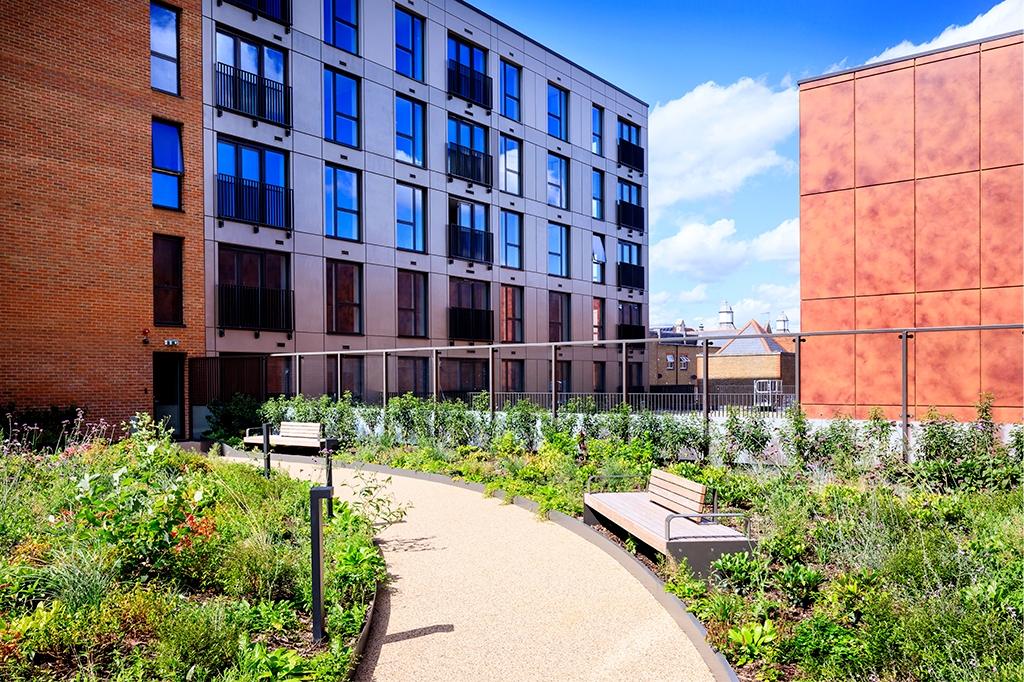 Roof Garden