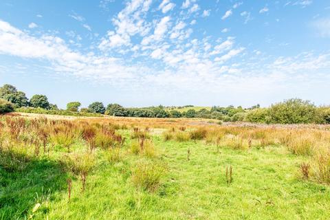 undefined, The Brake, Common Moor, PL14