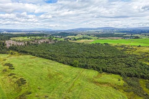 undefined, Borland Wood, Gartmore, Stirling, Stirlingshire