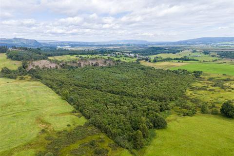 undefined, Borland Wood, Gartmore, Stirling, Stirlingshire