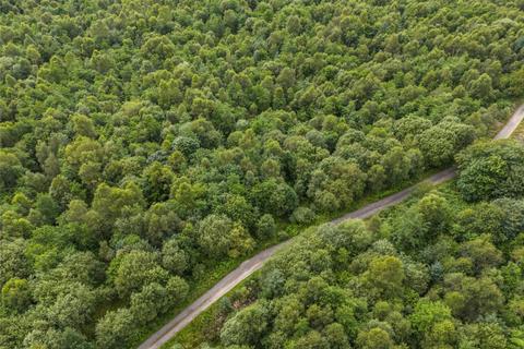 undefined, Borland Wood, Gartmore, Stirling, Stirlingshire