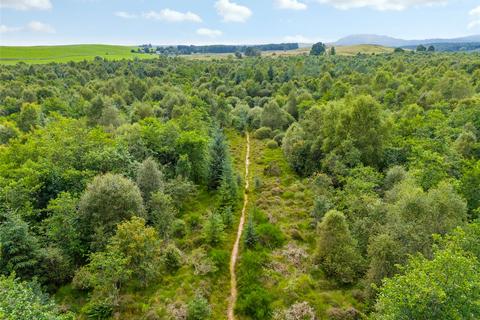 undefined, Borland Wood, Gartmore, Stirling, Stirlingshire