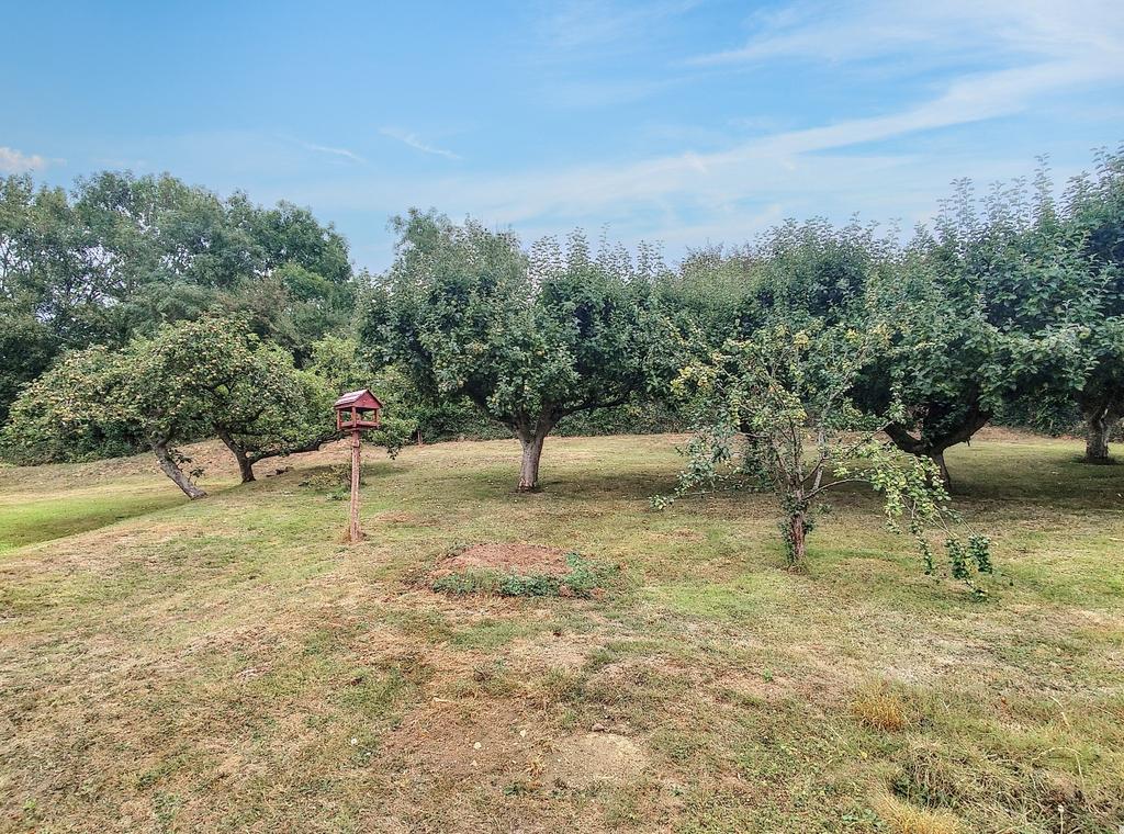 Fruit Trees