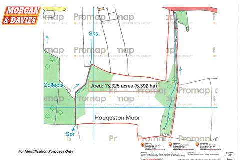 undefined, Hodgeston, Pembroke, SA71
