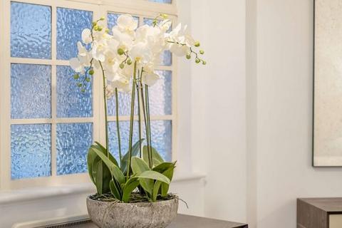2 bedroom flat to rent, London NW8