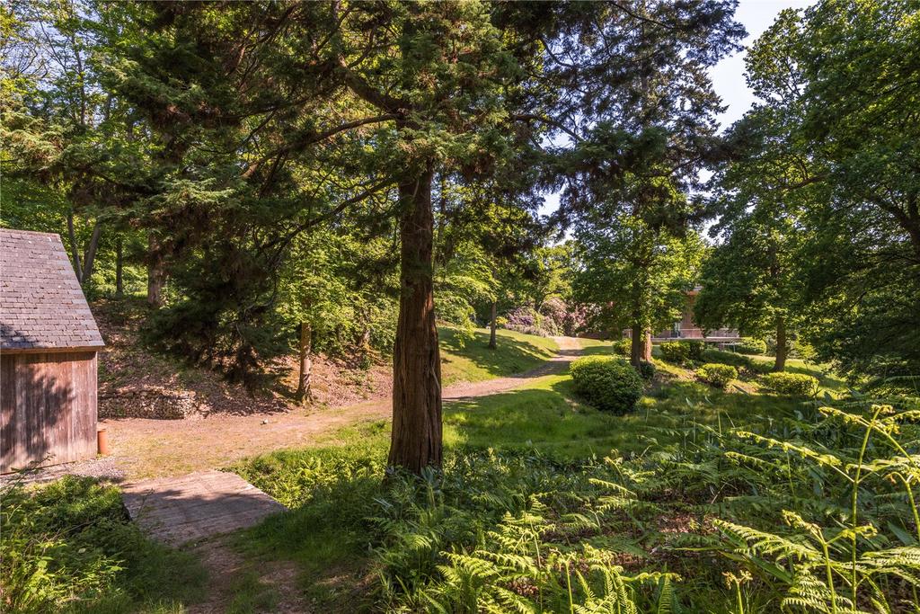 Grounds