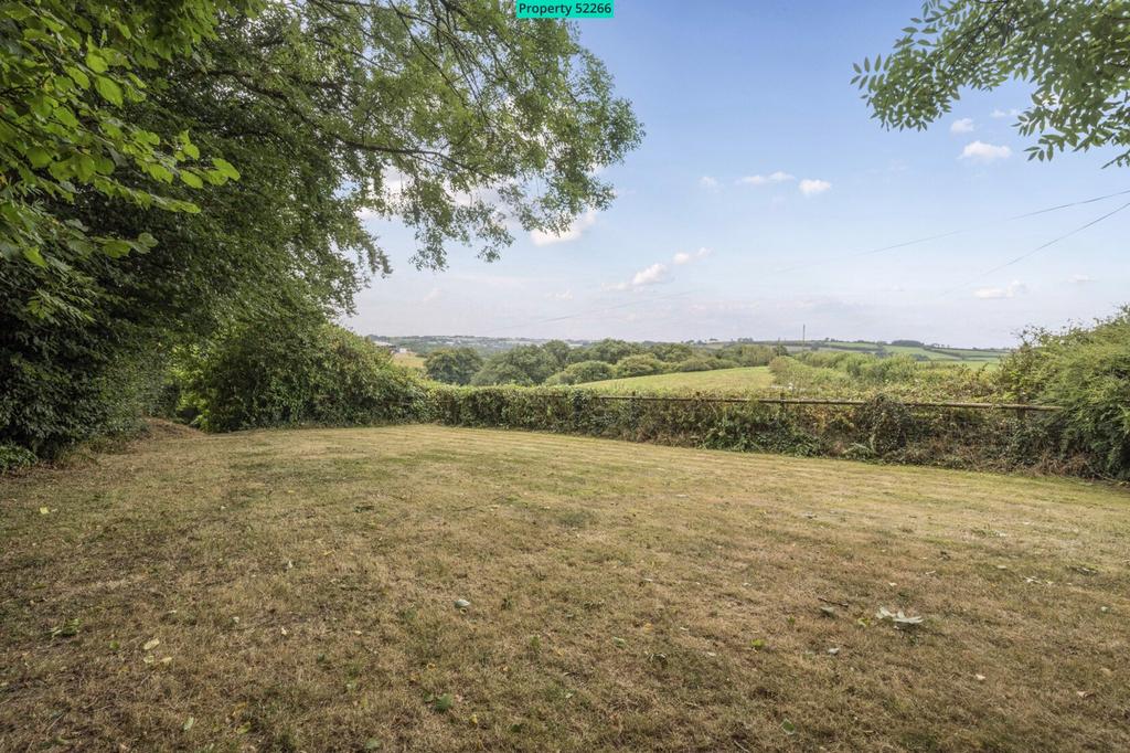 View From Garden