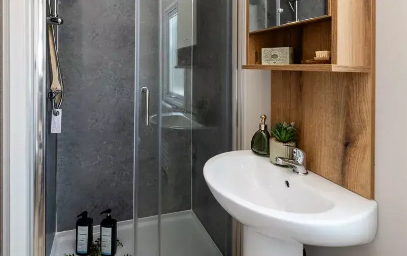 Ashberry 20240813 0283 Web 802x505 F50 50