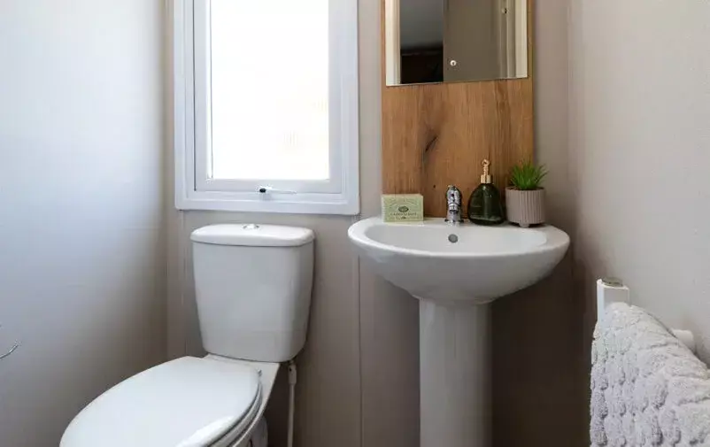 Ashberry 20240813 0308 Web 802x505 F50 50