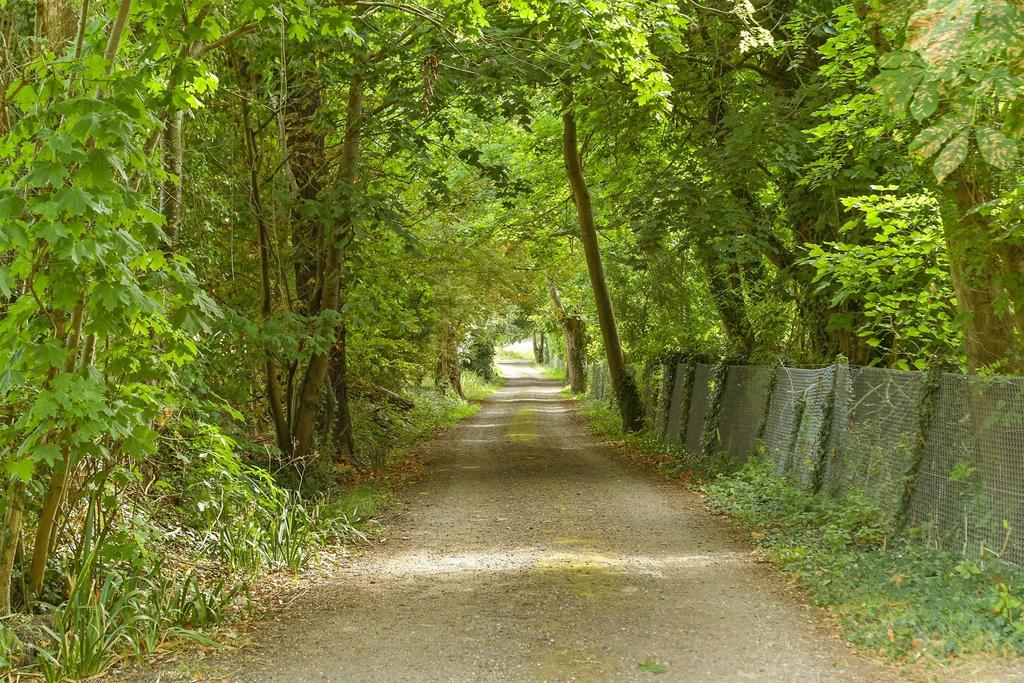 Surrounding Area