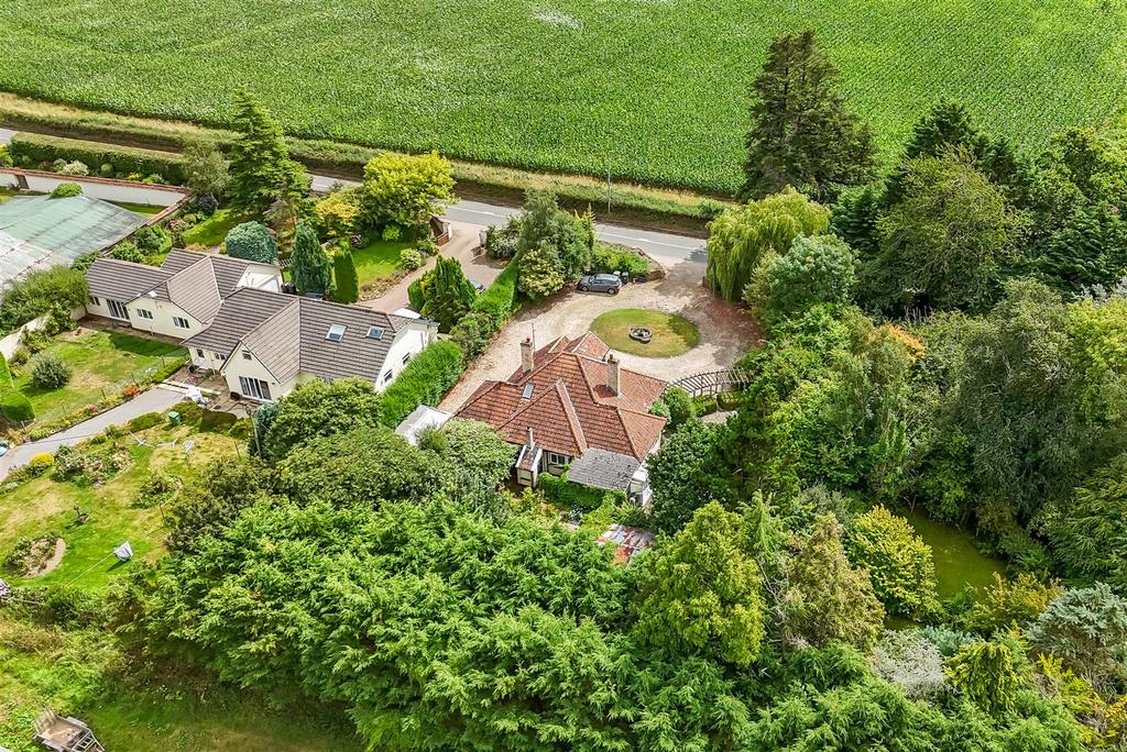 Drone View