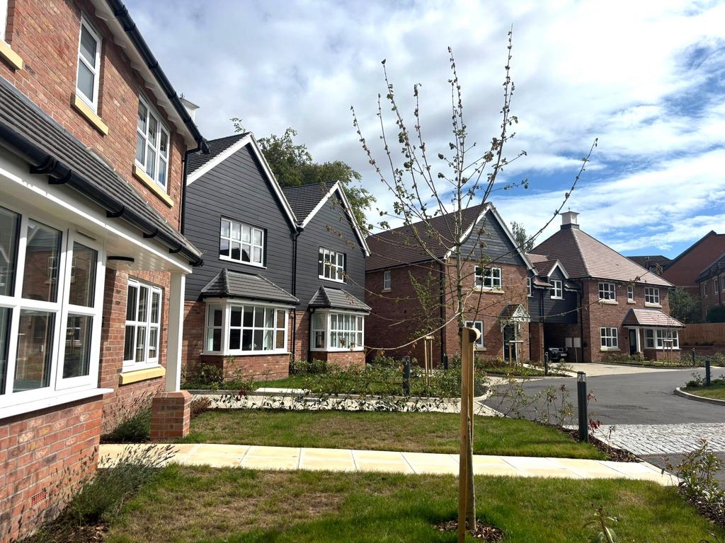 IMG-20250903-WA0012 a