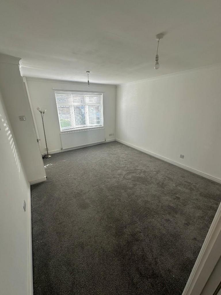 PIC6.jpg