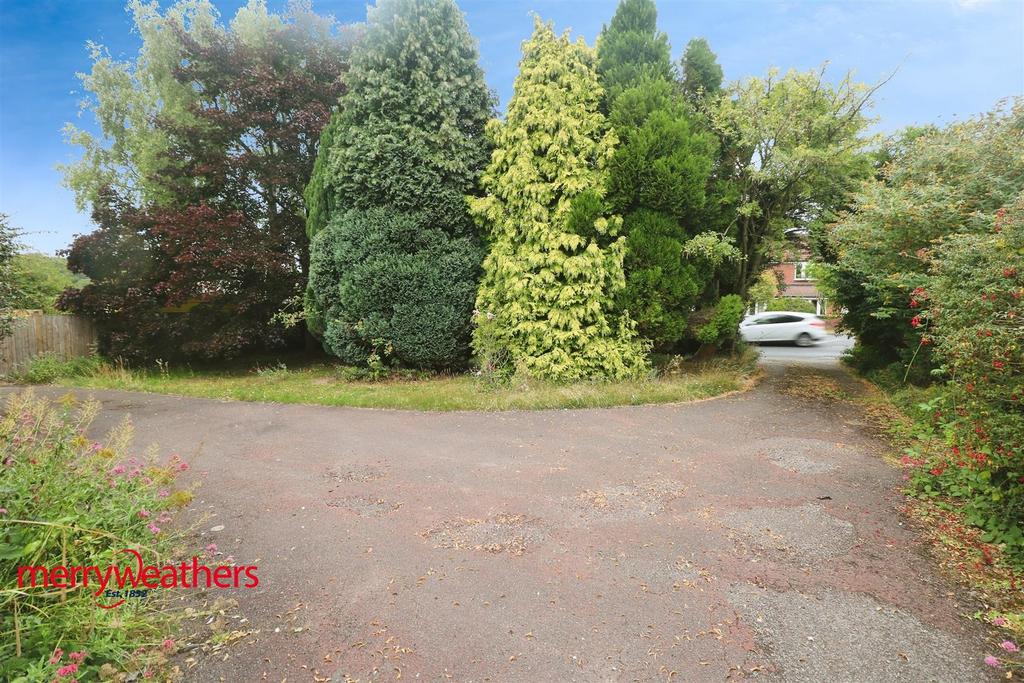 3ee16360-IMG 0800.JPG