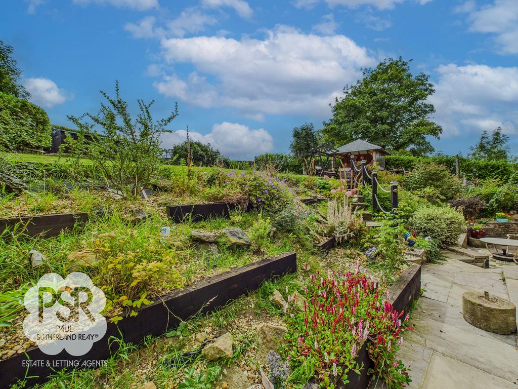 Rear Garden - Plantings Area