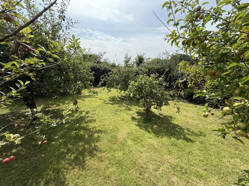 The Garden and Grounds.