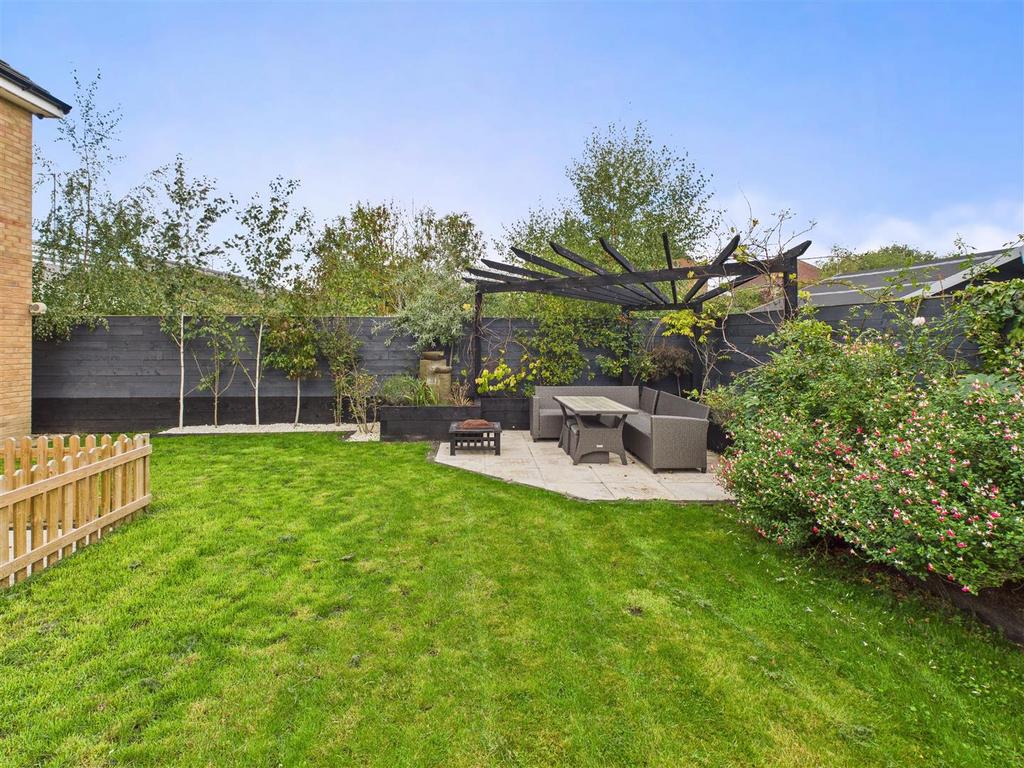 Patio &amp; Pergola