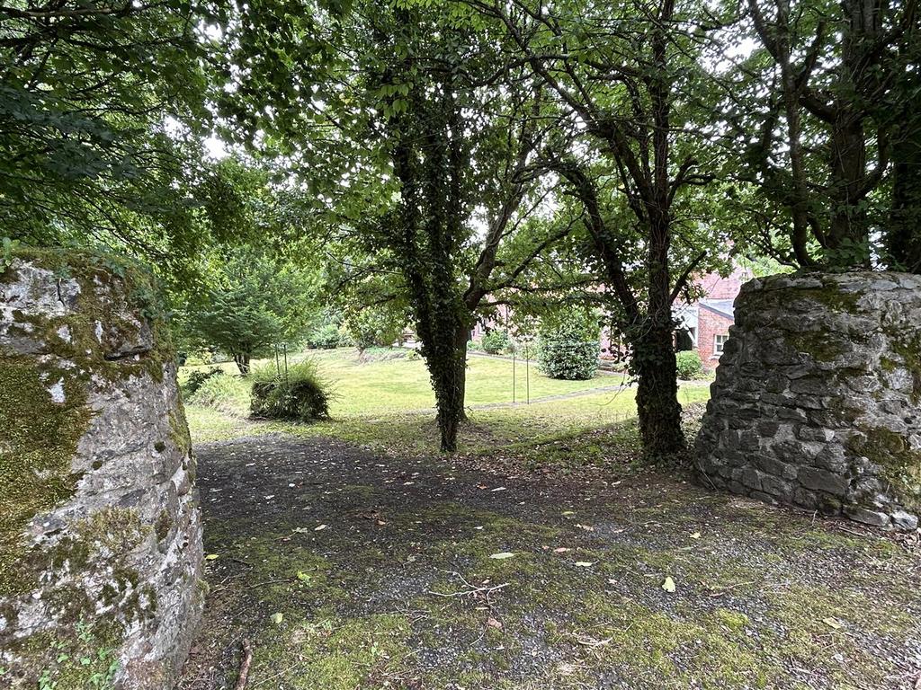 Img 8878.jpg