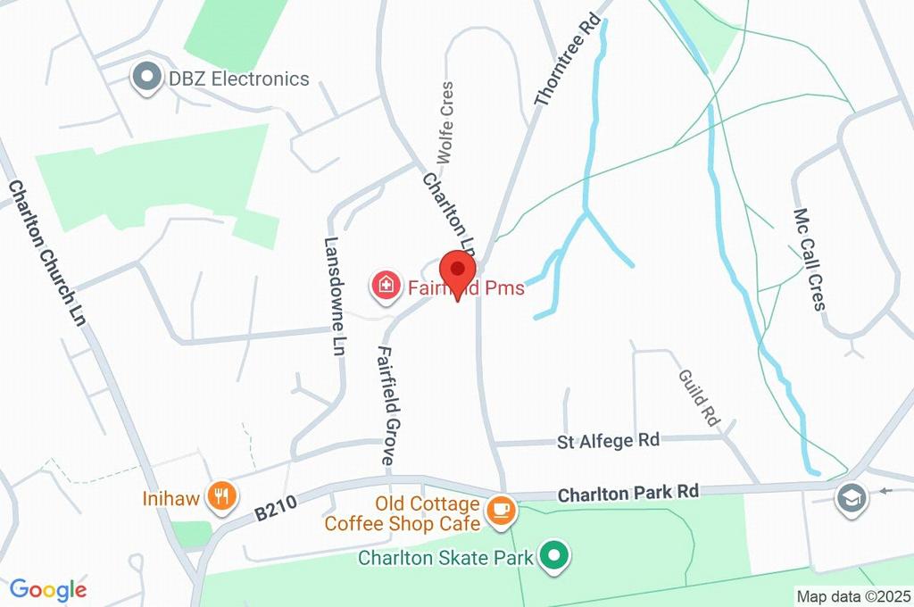 Google Maps Image
