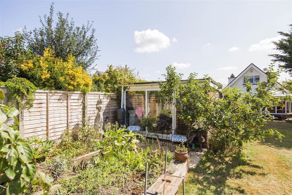 Vegetable Patch