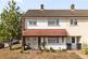 Blackbush Spring 20 - Copy.jpg