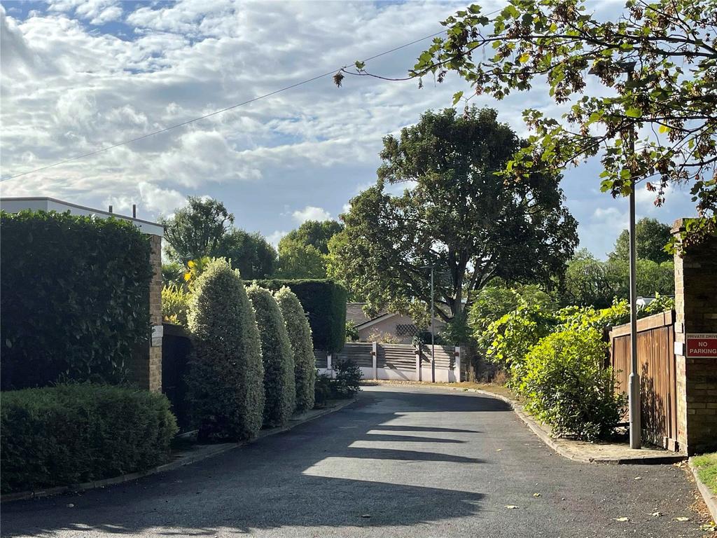 Avenue View