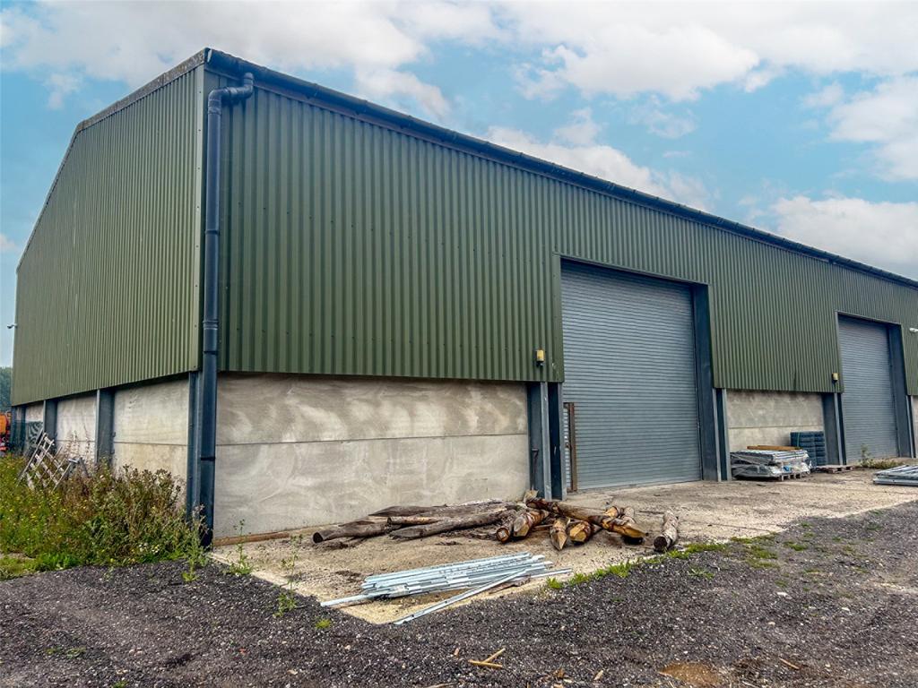 Picture 3