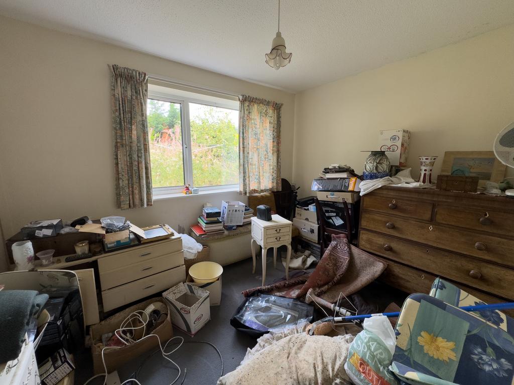 WOODLANDS5 T202508211722.jpg