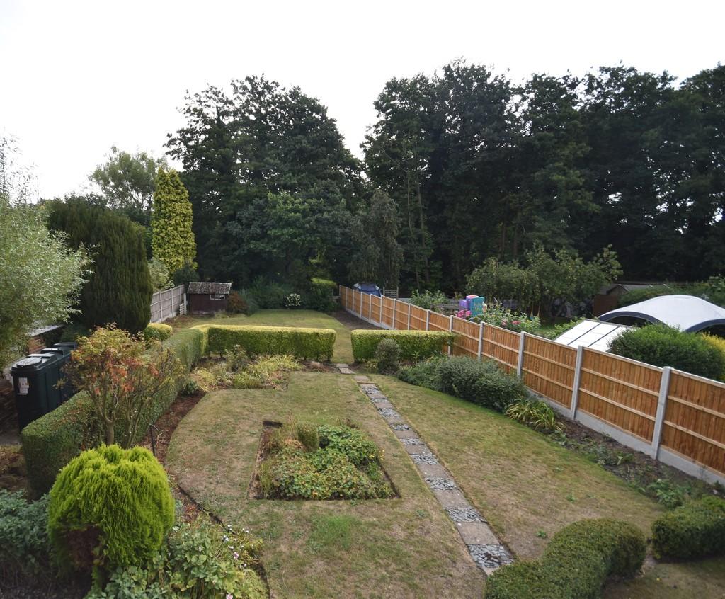 Back garden