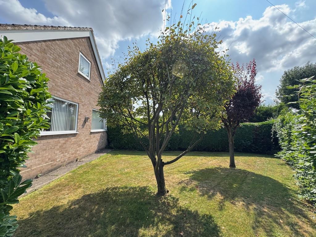Rear of Property