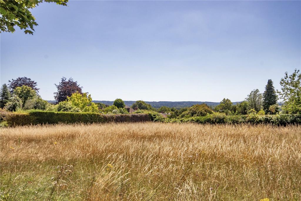 Meadow