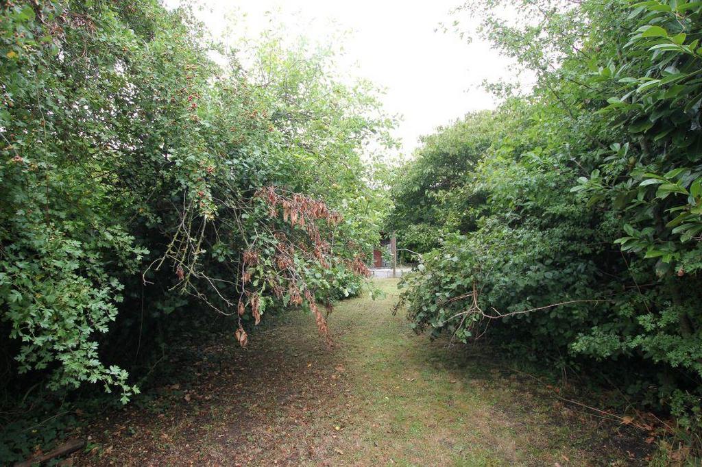 Img 4137.jpg