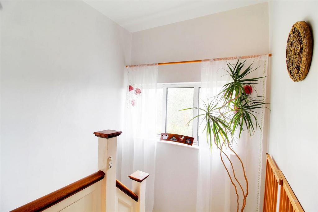 IMG 6525-IMG 6527 copy.jpg