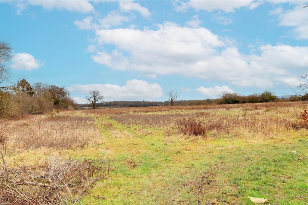 IMG 6753-IMG 6755 copy 2.jpg