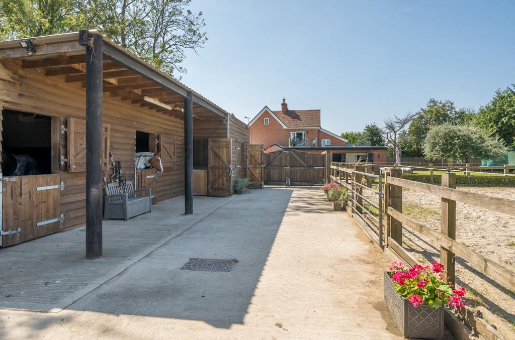 1339637-6-6899d1f...