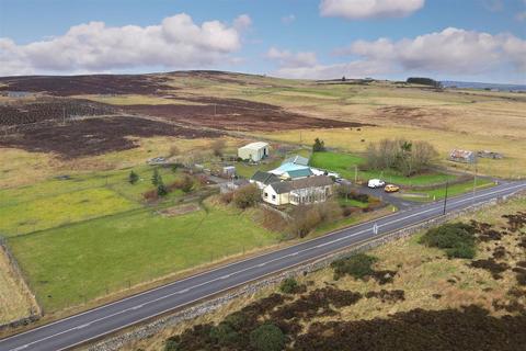 undefined, Ramscraigs Boarding Kennels, Dunbeath, Caithness, KW6 6EY