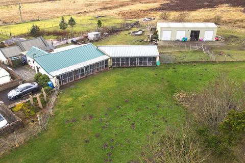 undefined, Ramscraigs Boarding Kennels, Dunbeath, Caithness, KW6 6EY