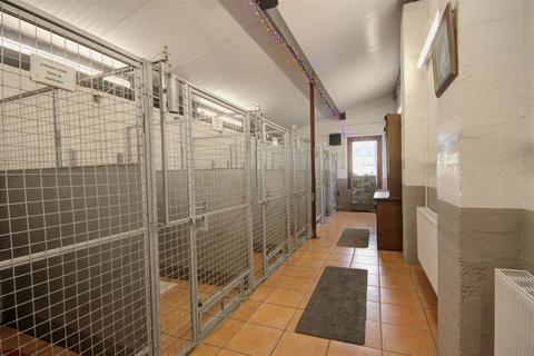 undefined, Ramscraigs Boarding Kennels, Dunbeath, Caithness, KW6 6EY