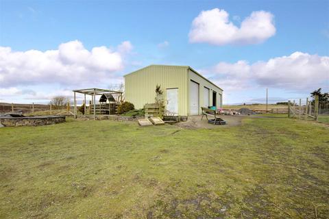 undefined, Ramscraigs Boarding Kennels, Dunbeath, Caithness, KW6 6EY