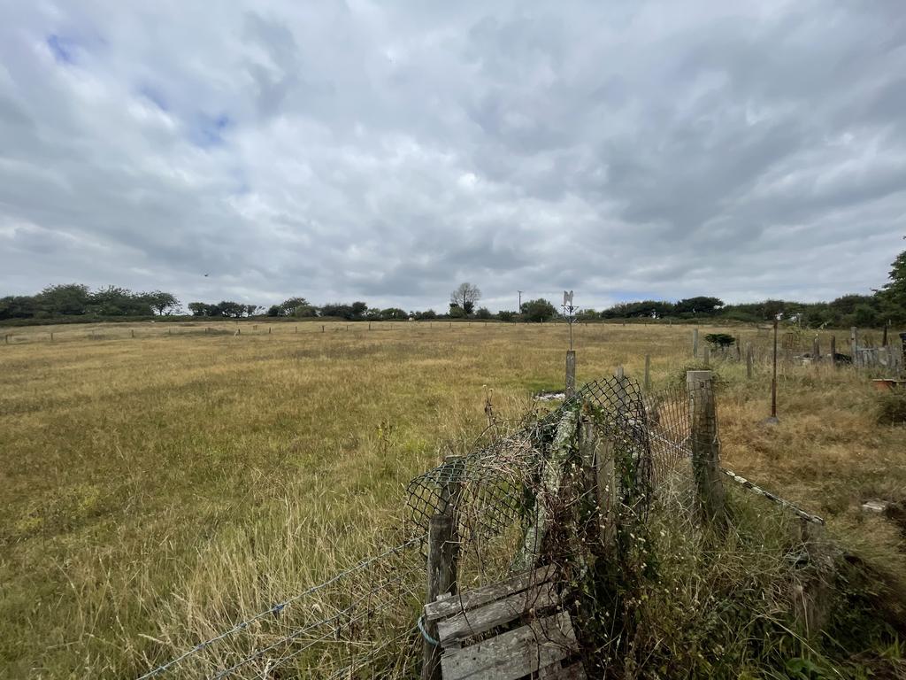 IMG 1851.jpeg