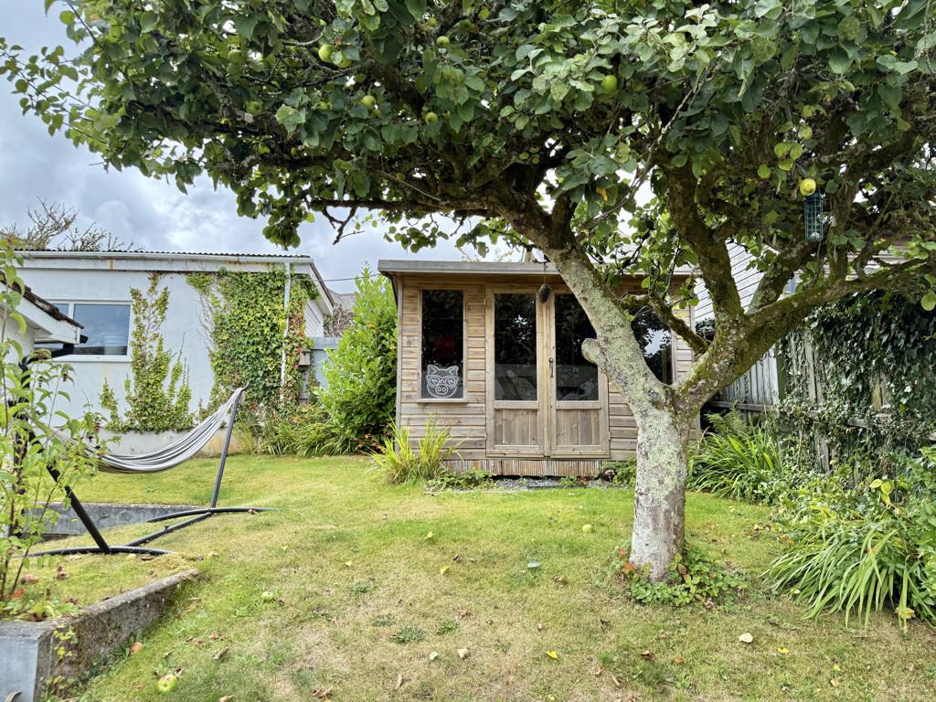 Mature Apple Tree