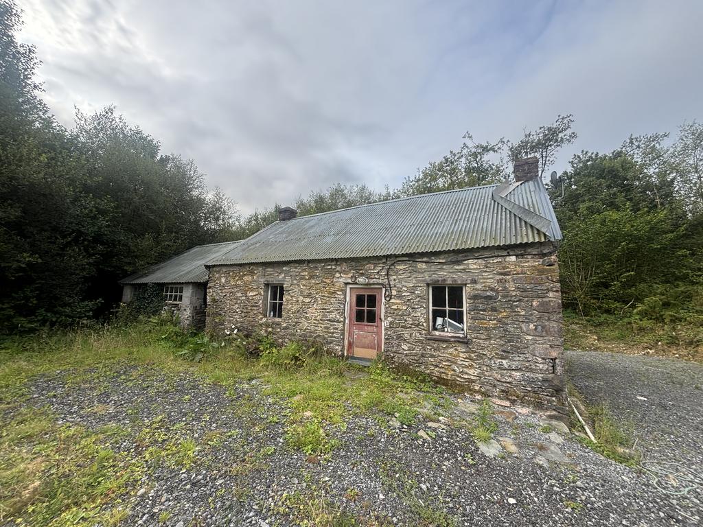 The cottage
