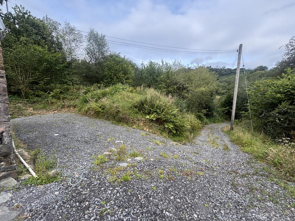 Parking and driveway
