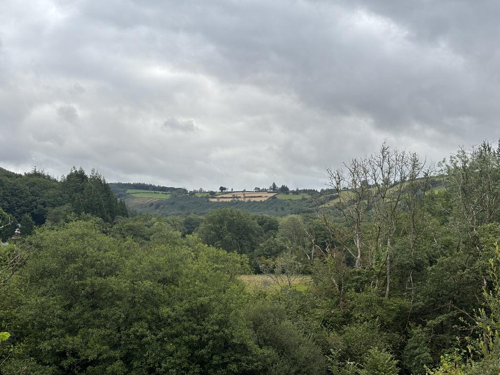 View from the property