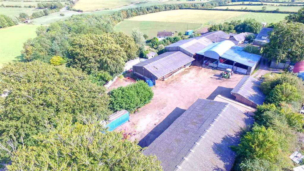 DJI 0237.jpg